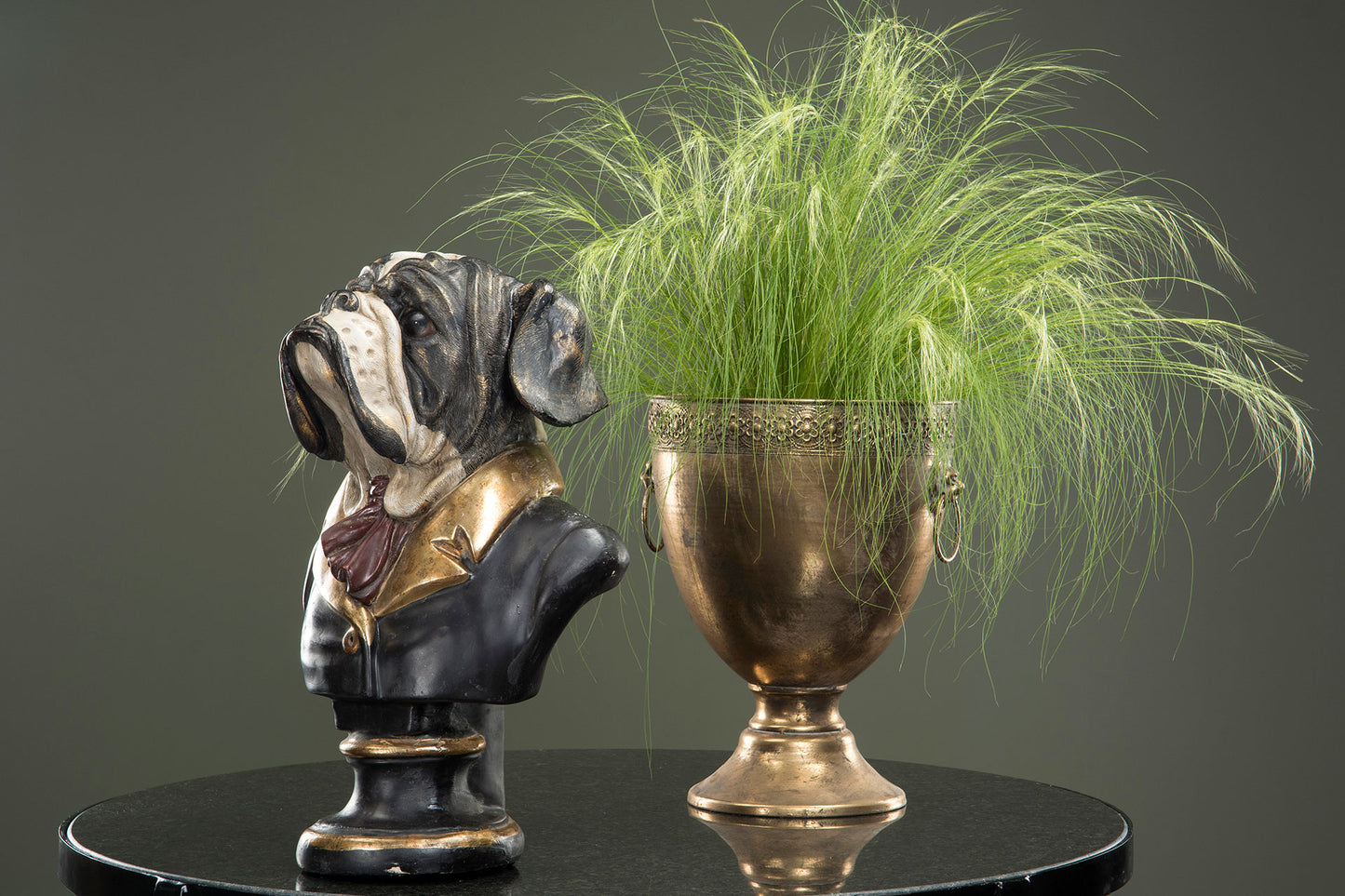 Mr. Bulldog Poly 52cm
