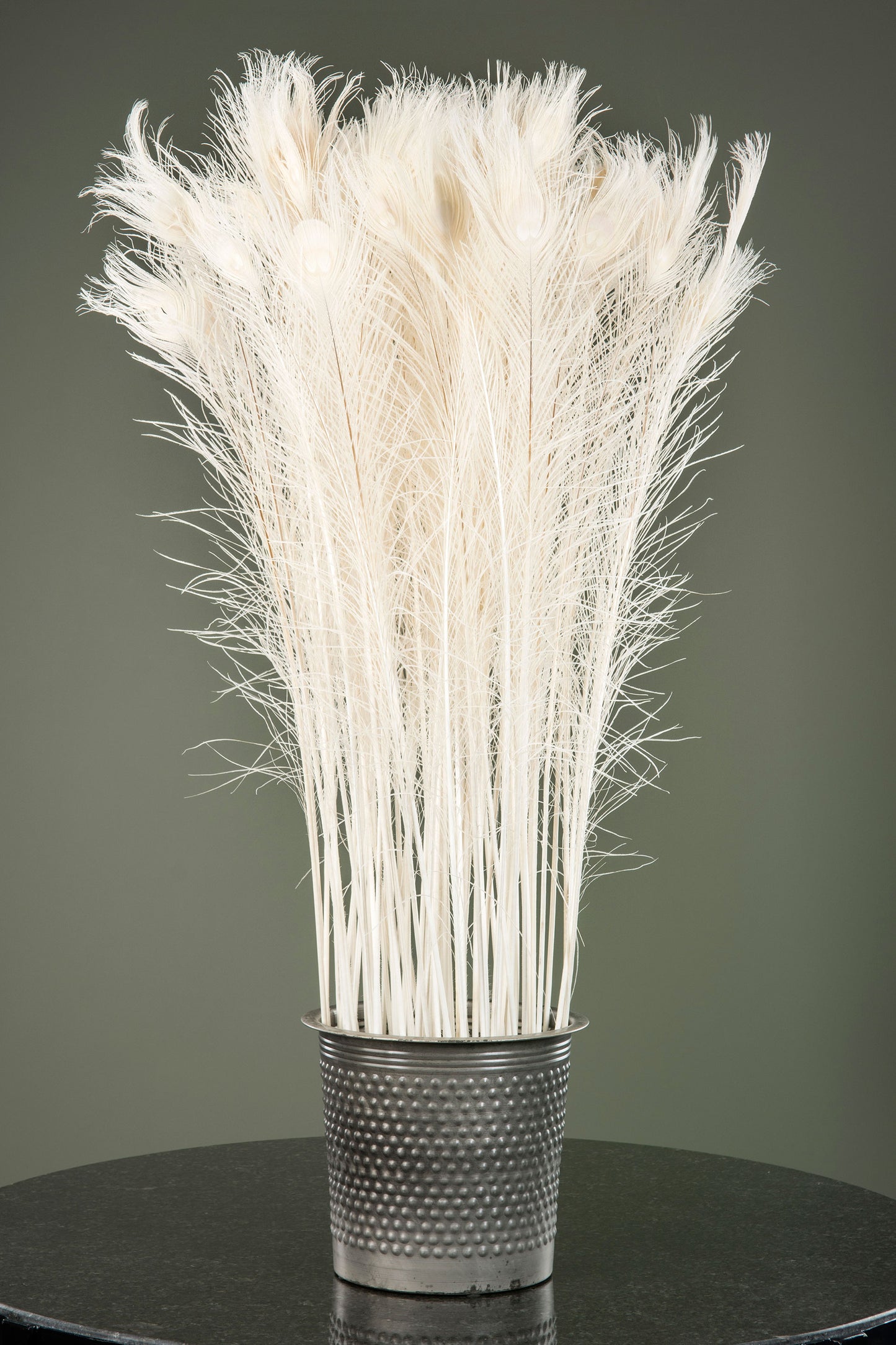 Páfugl fjöður Creme 80-100cm